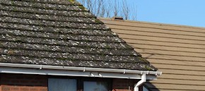 Gutter and roof cleaning in Crawley and Gatwick